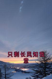 只剩长风知我意