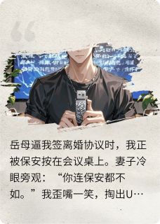 离婚当天，龙王U盘震动全球