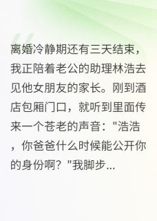 翻译官老公瞒着我认儿子三年