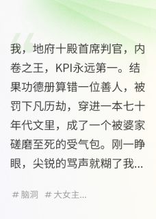 我，地府判官，在年代文里搞KPI