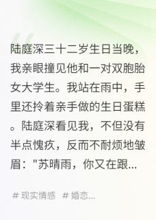 老公陪双胞胎，我离婚嫁给霸总