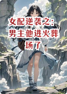 女配逆袭之：男主他进火葬场了