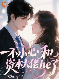 一不小心和资本大佬he了