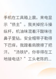 总裁追妻火葬场，我开挖掘机