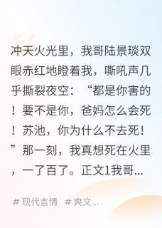 哥，这辈子我不回家了