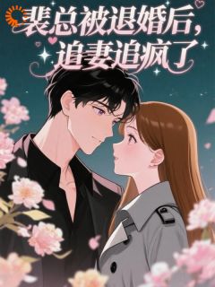 裴总被退婚后，追妻追疯了