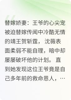 替嫁娇妻王爷的心尖宠