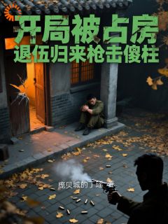 开局被占房，退伍归来枪击傻柱