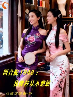 四合院1948：我傻柱从不憋屈