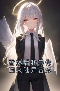 雪落后我等你归来陆异容浅