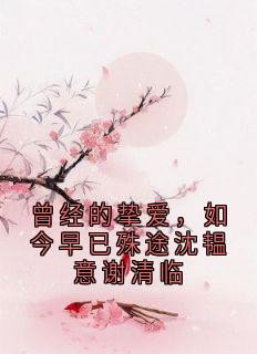 曾经的挚爱，如今早已殊途沈韫意谢清临