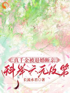 真千金被退婚断亲，科举六元及第