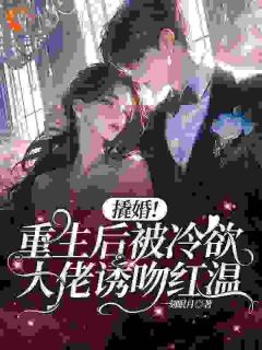 撬婚！重生后被冷欲大佬诱吻红温