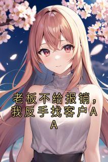 老板不给报销，我反手找客户AA