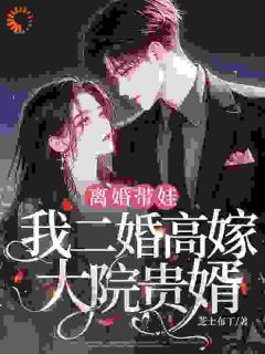 离婚带娃，我二婚高嫁大院贵婿