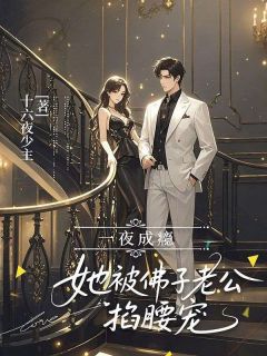 一夜成瘾，她被佛子老公掐腰宠