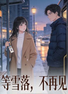 等雪落，不再见