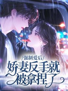 强制爱后，娇妻反手就被拿捏了