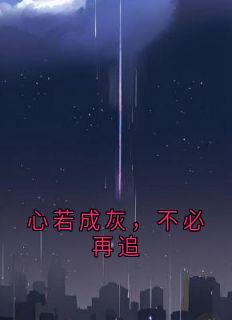 心若成灰，不必再追