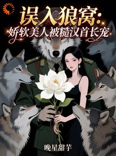 误入狼窝：娇软美人被糙汉首长宠