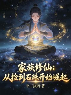 家族修仙：从捡到石珠开始崛起