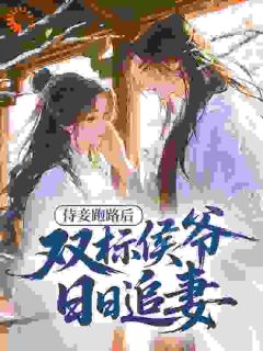 侍妾跑路后，双标侯爷日日追妻