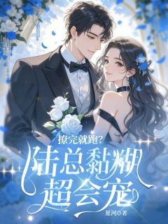 撩完就跑？陆总黏糊超会宠