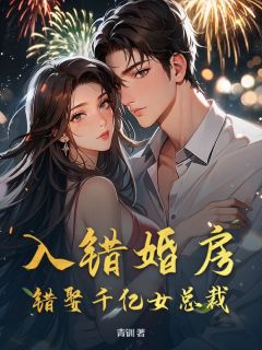 入错婚房，错娶千亿女总裁