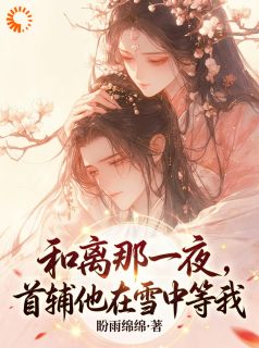 和离那一夜，首辅他在雪中等我
