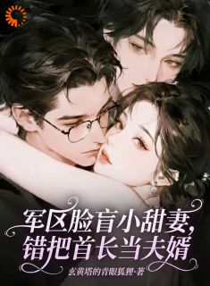 军区脸盲小甜妻，错把首长当夫婿