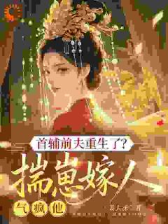 首辅前夫重生了？揣崽嫁人气疯他