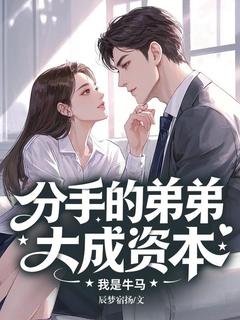 分手的弟弟大成资本，我是牛马